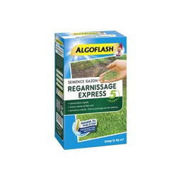 [40743] Semence Gazon Regarnissage Express 1KG - Algoflash