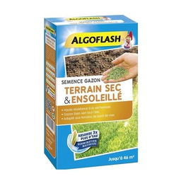 [41622] Semence Gazon Terrain Sec et Ensoleillé 1KG - Algoflash (6/ctrn)