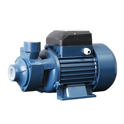 [41765] POMPE A EAU ELECTRIQUE 750W/DEBIT 60L/MIN 1.0HP