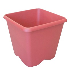 [40292] POT CHORUS CARRE 19,5 CM - 4,3L ROUGE RUBIS