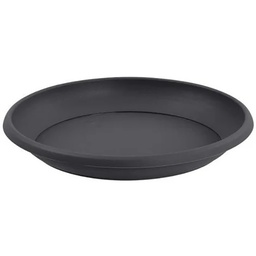 [40432] SOUCOUPES MARINA DIAM 26 GRIS ANTHRACITE