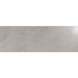 [25995] CARREAU 20X60 TERRA GRIS (CX12PCS=1,44M²)