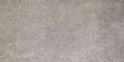 [26599] CARREAU GRES CERAME 30X60 ALAMO ANTI MOKA (CX8PCS=1,44M2/CTN)