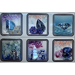 [29538] DECOR 40X60 FLY D-905