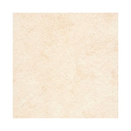 [21564] POLYFORM PLAN DE TRAVAIL T.H RCA 4120X650X38 P105 ROC