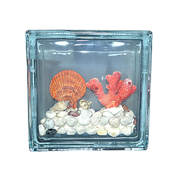[22748] BRIQUE DE VERRE A MOTIF EP 80MM 190X190MM H-2