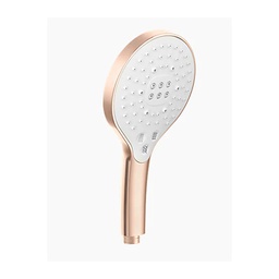 [22984] GARNITURE DE DOUCHE BROSSE 3JETS RGD