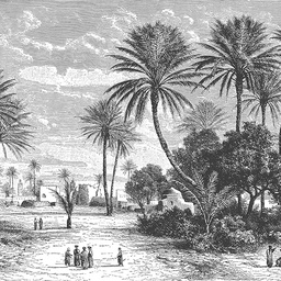[15220] PAPIER PEINT OASIS SUR MESURE PARTIE 2