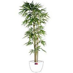 [10305] PLANTES ARTIFICIELLES FEUILLE DE CANNE