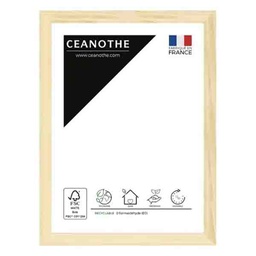 [10890] CADRE 10X15 CIRCEE NATUREL