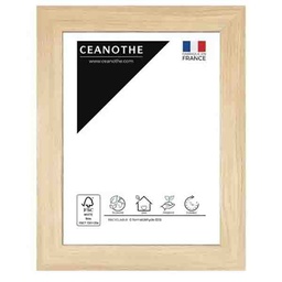[10898] CADRE 10X15 BOREALE