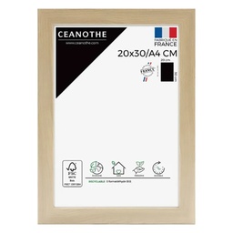 [10901] CADRE 20X30/A4 BOREALE