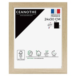 [10902] CADRE 24X30 BOREALE