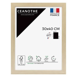 [14521] CADRE 30X40 BOREALE
