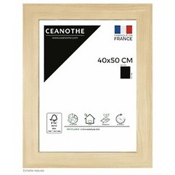 [14535] CADRE 40X50 BOREALE