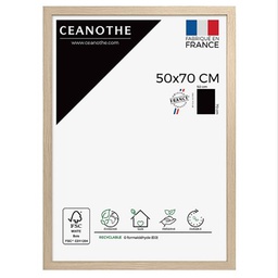 [14538] CADRE 50X70 BOREALE