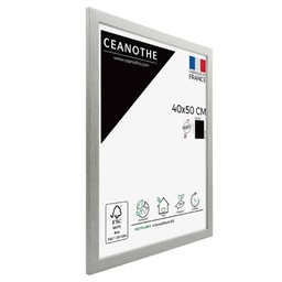 [10910] CADRE 40X50 AUSTRALE