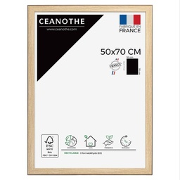 [10919] CADRE 50X70 NEWTON BOIS