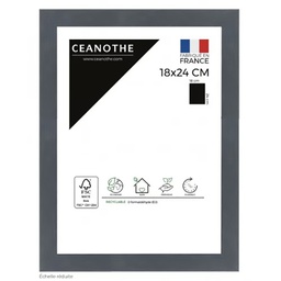 [10940] CADRE 18X24 KARMA GRIS BLEUTE
