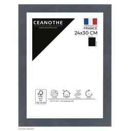 [10942] CADRE 24X30 KARMA GRIS BLEUTE