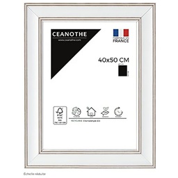 [10968] CM 40X50 CONSTANCE 3 BLANCHI
