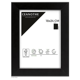 [10971] CADRE 18X24 NOIR MAT
