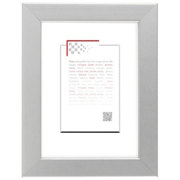 [10977] CADRE 18X24 ALU MAT