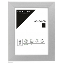[10981] CADRE 40X50 ALU MAT