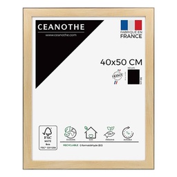 [10988] CADRE 40X50 NEWTON BOIS NOIR