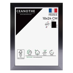 [11002] CADRE 18X24 PRECIOUS CARBONE