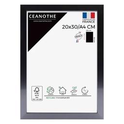 [11003] CADRE 20X30A4 PRECIOUS CARBON
