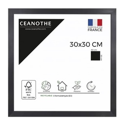 [11004] CADRE 30X30 PRECIOUS CARBONE