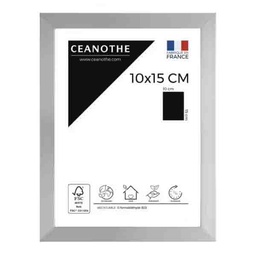 [11005] CADRE 10X15 PRECIOUS ACIER