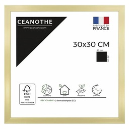 [11020] CADRE 30X30 PRECIOUS DORE