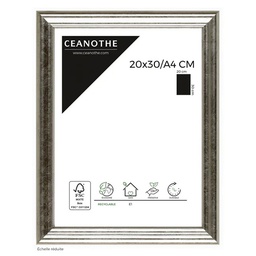[11025] CADRE 20X3/A4 CIRCEE ARGENT