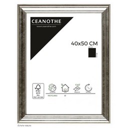 [11027] CADRE 40X50 CIRCEE ARGENT
