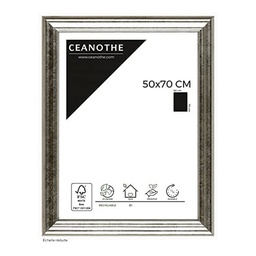 [11028] CADRE 50X70 CIRCEE ARGENT