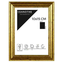 [11029] CADRE 10X15 CIRCEE DOREE