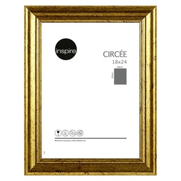 [11031] CADRE 18X24 CIRCEE DOREE