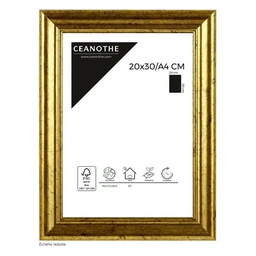 [11032] CADRE 20X30/A4 CIRCEE DOREE