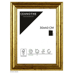 [11034] CADRE 30X40 CIRCEE DOREE
