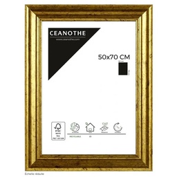 [11036] CADRE 50X70 CIRCEE DOREE