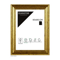 [11037] CADRE 60X80 CIRCEE DOREE