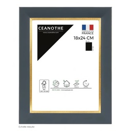 [11040] CADRE 18X24 HADES BLEU DORE