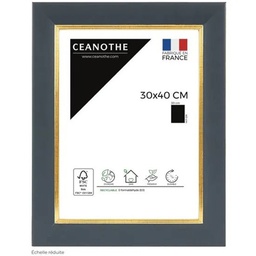 [11043] CADRE 30X40 HADES BLEU DORE