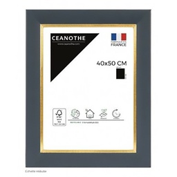 [11044] CADRE 40X50 HADES BLEU DORE