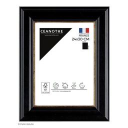 [11050] CADRE 24X30 GAIA NOIR DORE