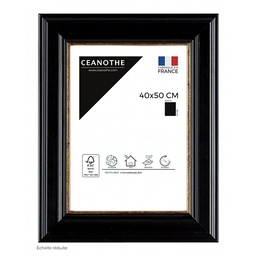 [11052] CADRE 40X50 GAIA NOIR DORE