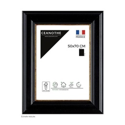 [11053] CADRE 50X70 GAIA NOIR DORE