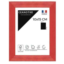 [11054] CADRE 10X15 TUTTI FRUTTI CERI